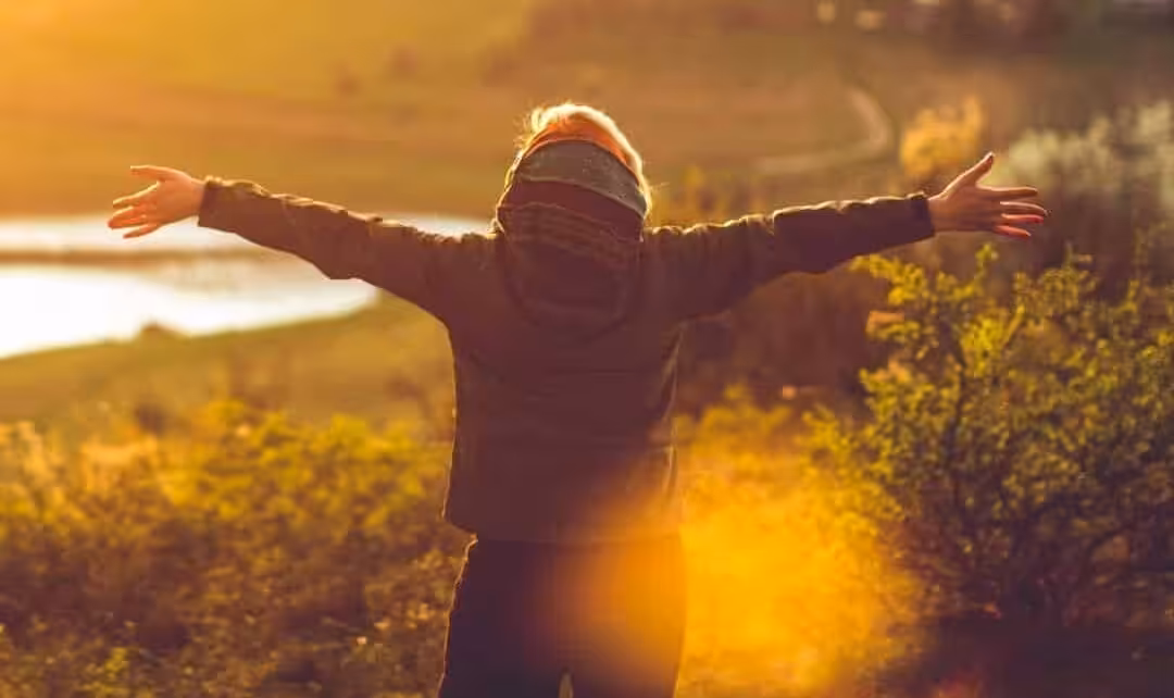 Deinen Weg finden in der Natur