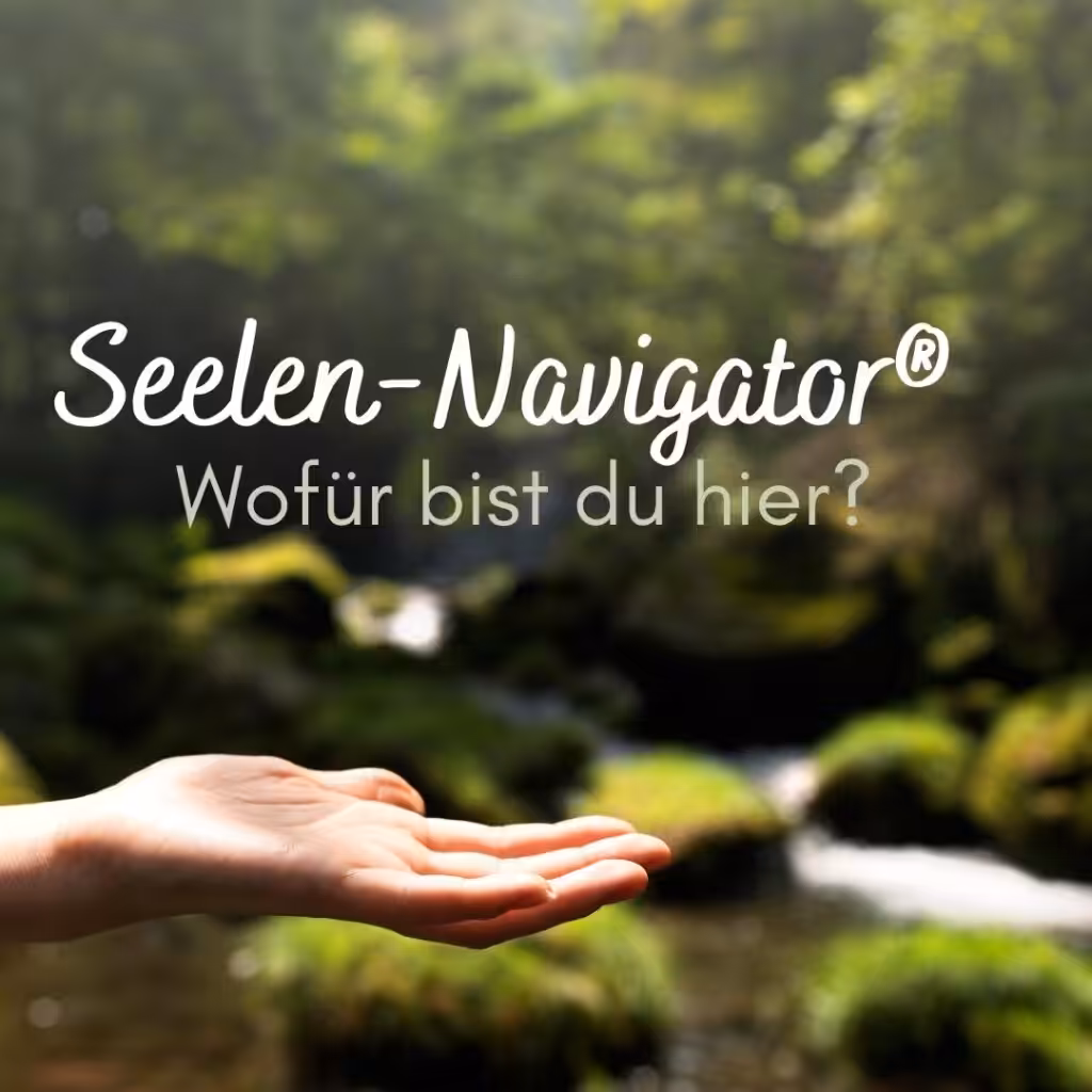 Mit dem Seelen-Navigator® den Sinn des Lebens finden