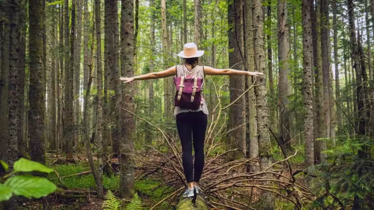 Maas Naturcoaching Blog.naturcoaching Die Heilkraft Der Natur Fuer Koerper Und Seele