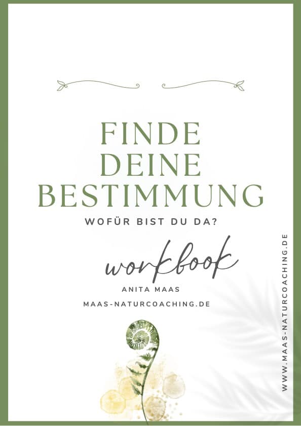 Workbook-Finde-deine-Bestimmung-Cover